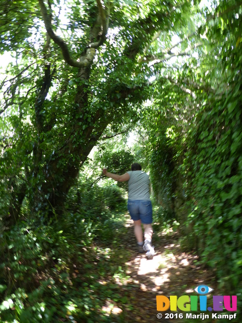 FZ030654 Jenni walking on path